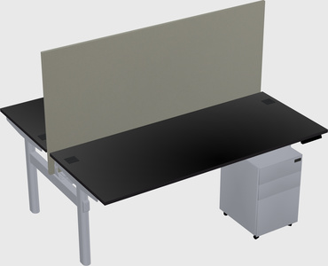 Shared electric desk