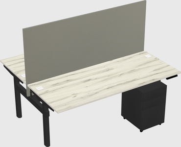 Shared electric desk