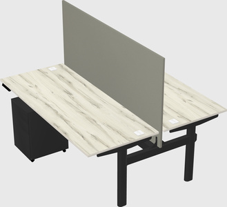 Shared electric desk