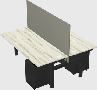 Shared electric desk