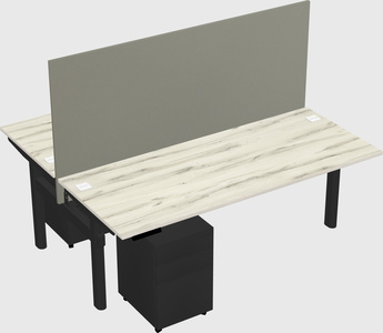 Shared electric desk