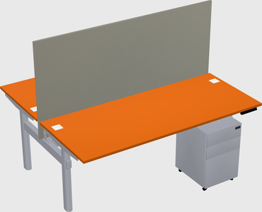 Shared electric desk