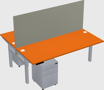 Shared electric desk