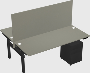 Shared electric desk