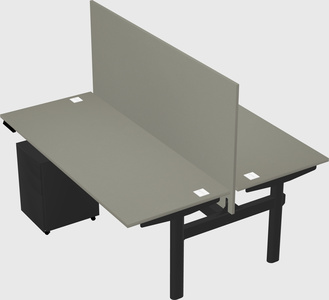 Shared electric desk