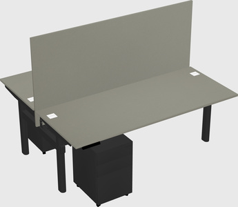 Shared electric desk