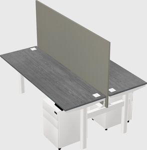 Shared electric desk
