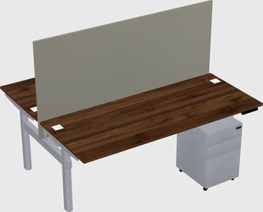 Shared electric desk