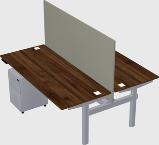 Shared electric desk