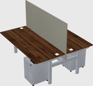 Shared electric desk