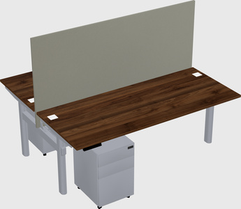 Shared electric desk