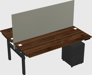 Shared electric desk