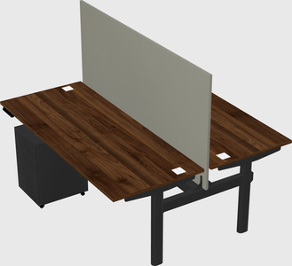 Shared electric desk