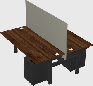 Shared electric desk