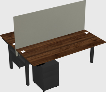 Shared electric desk