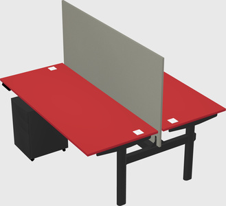 Shared electric desk