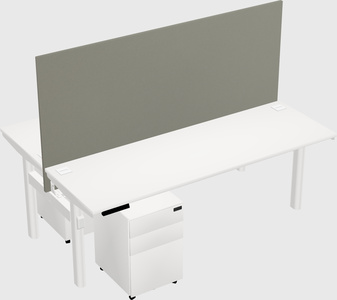 Shared electric desk