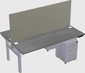Shared electric desk