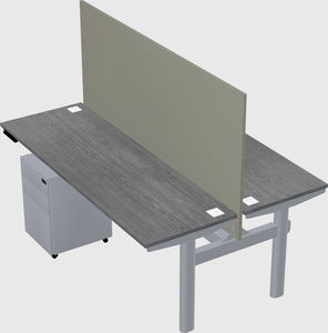 Shared electric desk