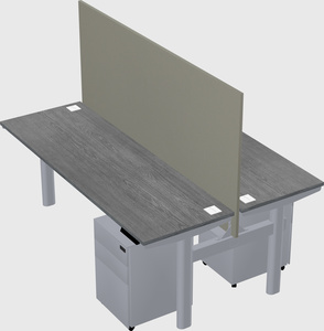 Shared electric desk
