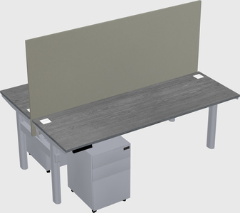 Shared electric desk