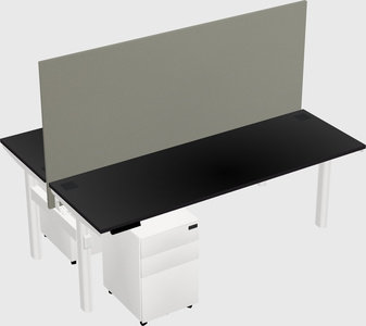 Shared electric desk