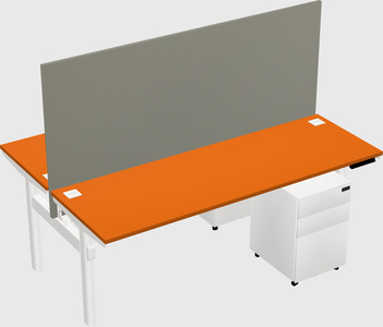Shared electric desk