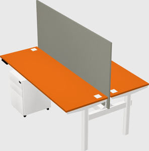 Shared electric desk