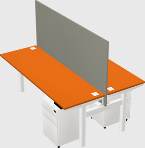 Shared electric desk