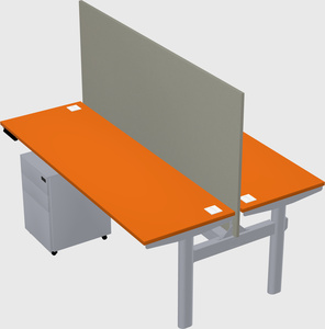 Shared electric desk