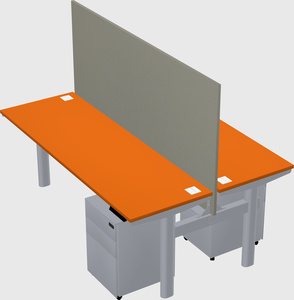 Shared electric desk