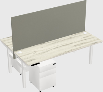 Shared electric desk