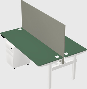 Shared electric desk