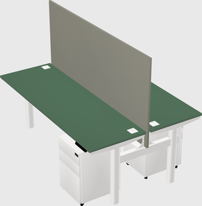 Shared electric desk