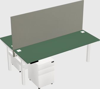 Shared electric desk