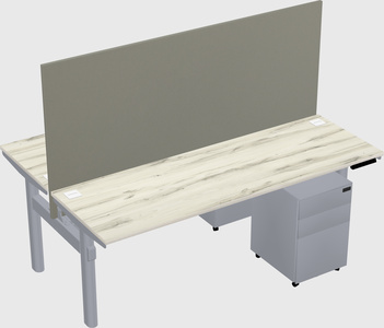 Shared electric desk