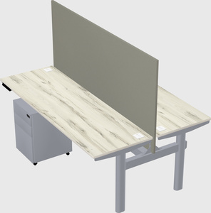 Shared electric desk
