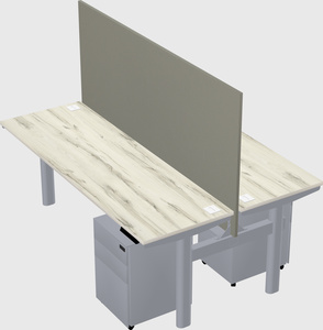 Shared electric desk