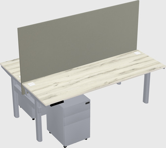 Shared electric desk