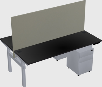 Shared electric desk