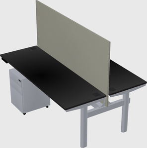 Shared electric desk
