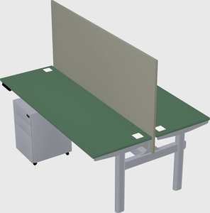 Shared electric desk