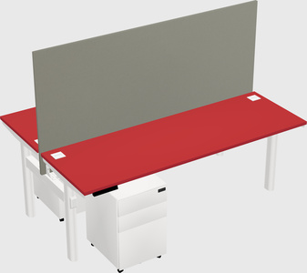 Shared electric desk