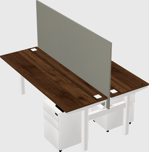Shared electric desk