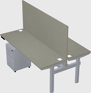 Shared electric desk