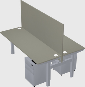 Shared electric desk