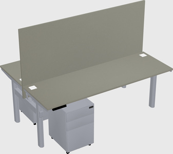 Shared electric desk