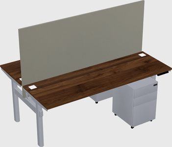 Shared electric desk