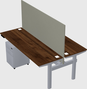 Shared electric desk