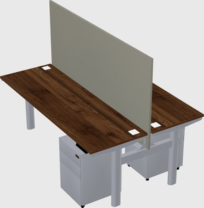 Shared electric desk